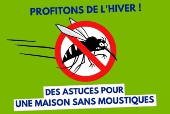 Dengue : Un deuxième décès à déplorer depuis le début de l'a ... Image 1