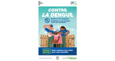 Dengue à La Réunion Sensibiliser aux gestes de prévention. Image 1