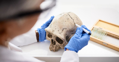 De l’ADN ancien dévoile les secrets de nos maladies modernes ... Image 1
