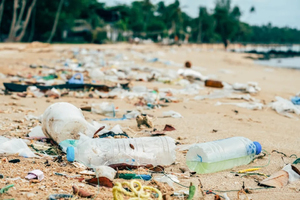 Comment la pollution attaque aussi votre cœur ... selon une  ... Image 1