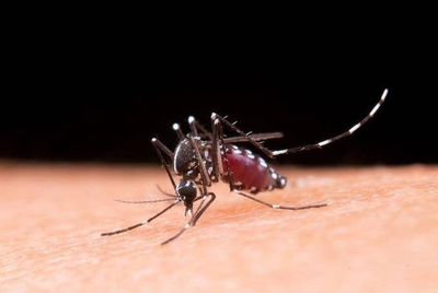 Des scientifiques sont parvenus à rendre notre peau écœurant ... Image 1