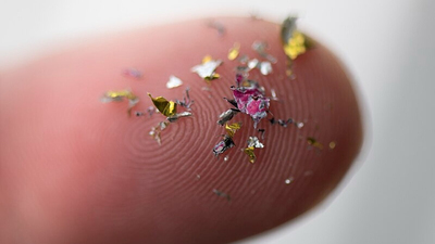 Les microplastiques envahissent nos cerveaux et cela inquièt ... Image 1