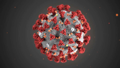 Covid-19 : un nouveau variant «plus contagieux» se propage e ... Image 1