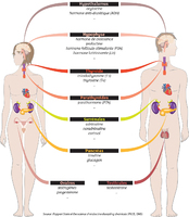 Perturbateurs endocriniens : comment les éviter ? Image 1