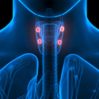 L’hypoparathyroïdie, cette maladie silencieuse qui boulevers ... Image 1