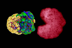 Des scientifiques confirment un « troisième état » entre la  ... Image 1