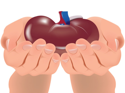 Les greffes d’organe retrouvent leur niveau d’avant-Covid en ... Image 1