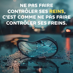 Maladies rénales : sensibiliser et encourager le dépistage. Image 1