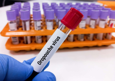 Virus Oropouche : le nouveau Zika ? Image 1
