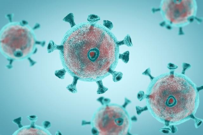 &quot;Un large éventail de menaces&quot; : ces deux virus présentent l ... Image 1