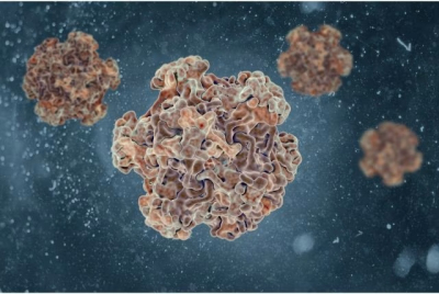 « Première fois qu’un type de cancer disparaîtra » : le canc ... Image 1