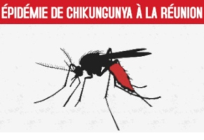 Chikungunya : trop tôt pour pour donner une date de pic épid ... Image 1