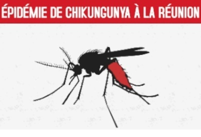 Chikungunya à La Réunion : 20 décès suspects en cours d'inve ... Image 1