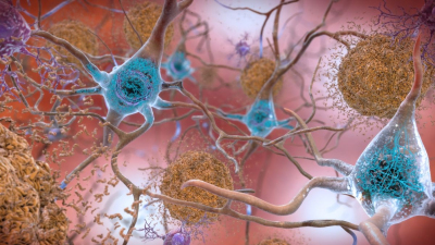 Un lien très inquiétant entre un virus bien connu et la mala ... Image 1