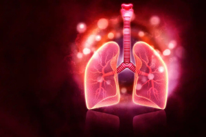 Cancer du poumon : la cellule coupable enfin identifiée… Res ... Image 1