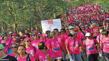 Odyssea ou le soutien aux femmes atteintes du cancer du sein Image 1