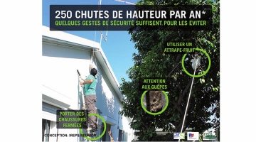 Attention aux chutes du haut des arbres et des toits ! Image 1