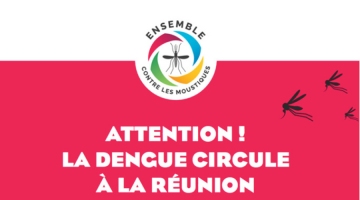 La circulation de la dengue continue de s'intensifier, début ... Image 1