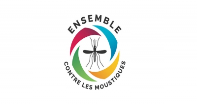 Epidémie de dengue localisée à Saint-Paul et augmentation du ... Image 1