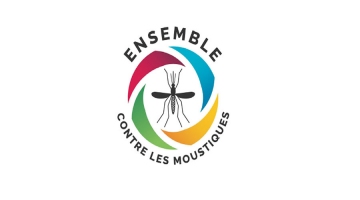 Epidémie de dengue localisée à Saint-Paul et augmentation du ... Image 1