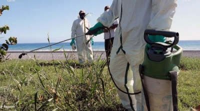 Dengue : &quot;l'essentiel est qu'elle ne passe pas l'hiver&quot; Image 1