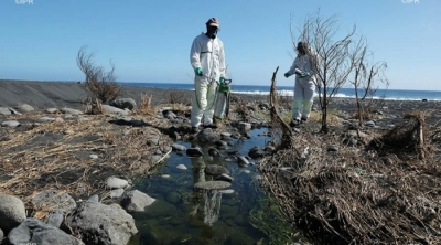 Dengue: 1388 malades depuis le début de l'année - 396 nouvea ... Image 1