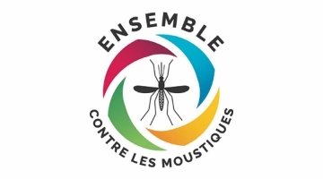 L’épidémie de dengue continue dans l’ouest et le sud Image 1