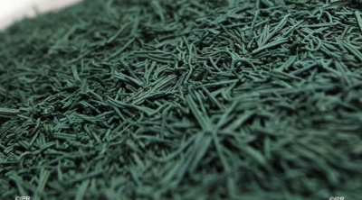 La spiruline péi n'est pas toujours sans effet secondaire Image 1