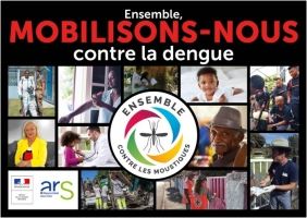 6615 cas de dengue confirmés depuis le début de l’année Image 1