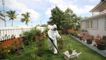 8 nouveaux cas de dengue du 15 au 21 octobre Image 1