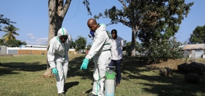 Attention : la dengue gagne du terrain Image 1