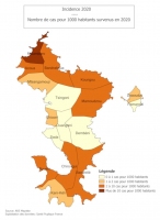 Dengue : toutes les communes de l’île sont touchées Image 1