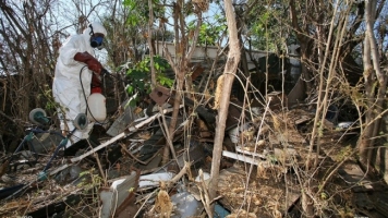 Forte augmentation de l'épidémie 218 nouveaux cas de dengue  ... Image 1