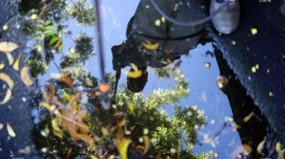 Dengue 700 cas signalés en une semaine, la tendance est à la ... Image 1