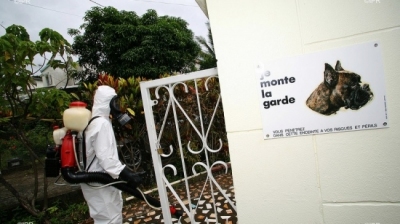Dengue quatre décès supplémentaires à signaler ces dernières ... Image 1
